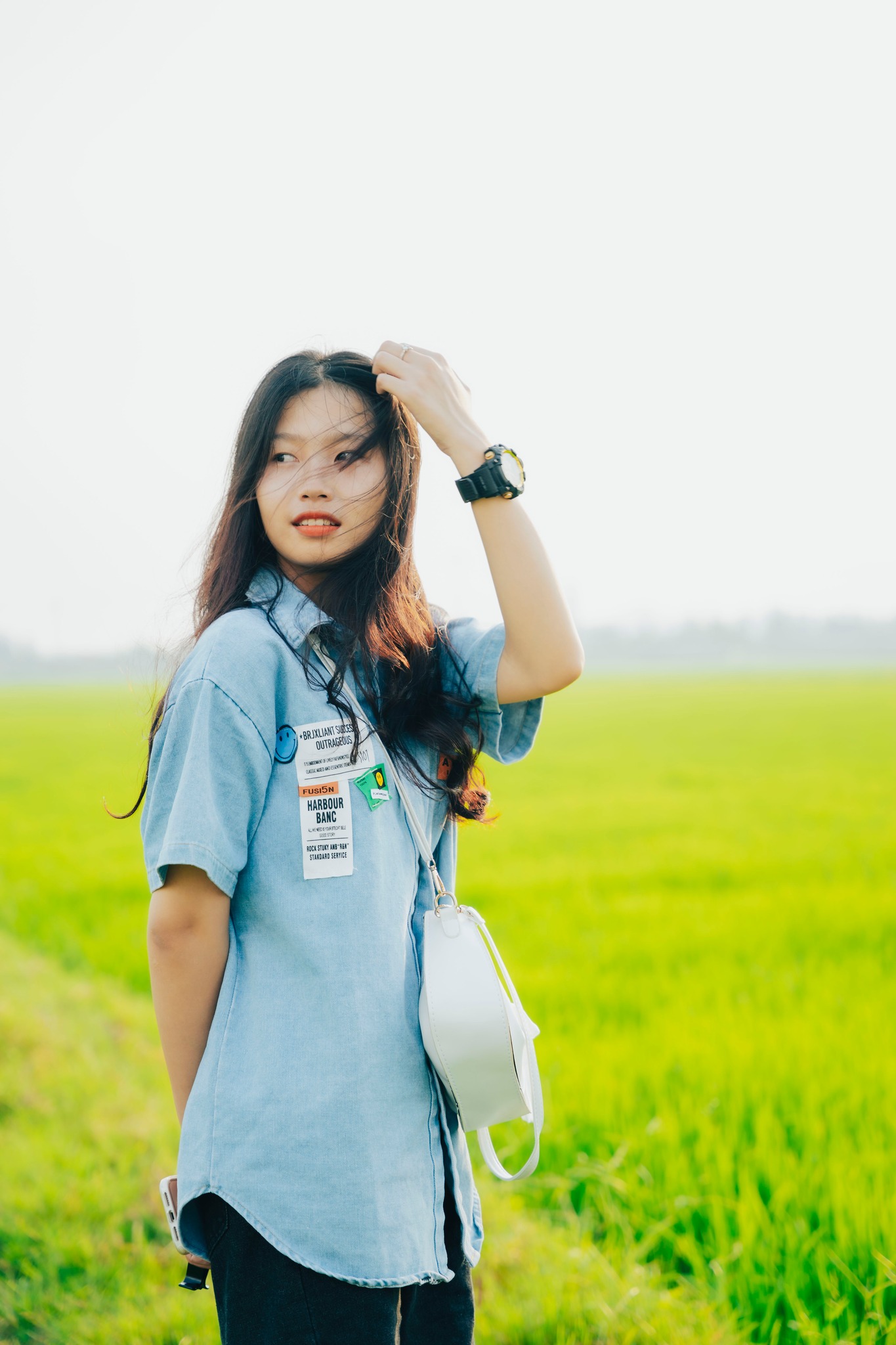 Cánh đồng lúa image 1