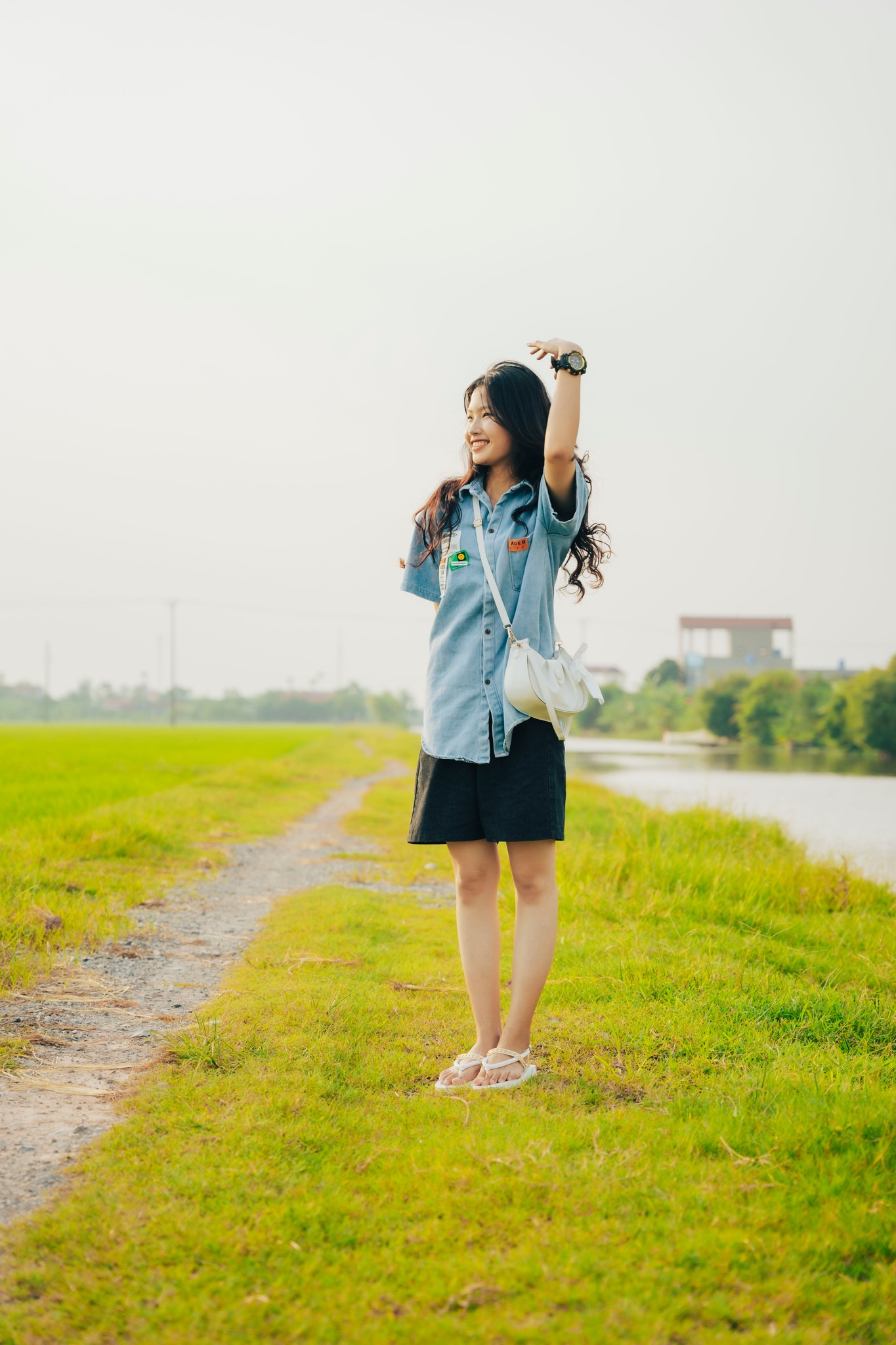 Cánh đồng lúa image 2