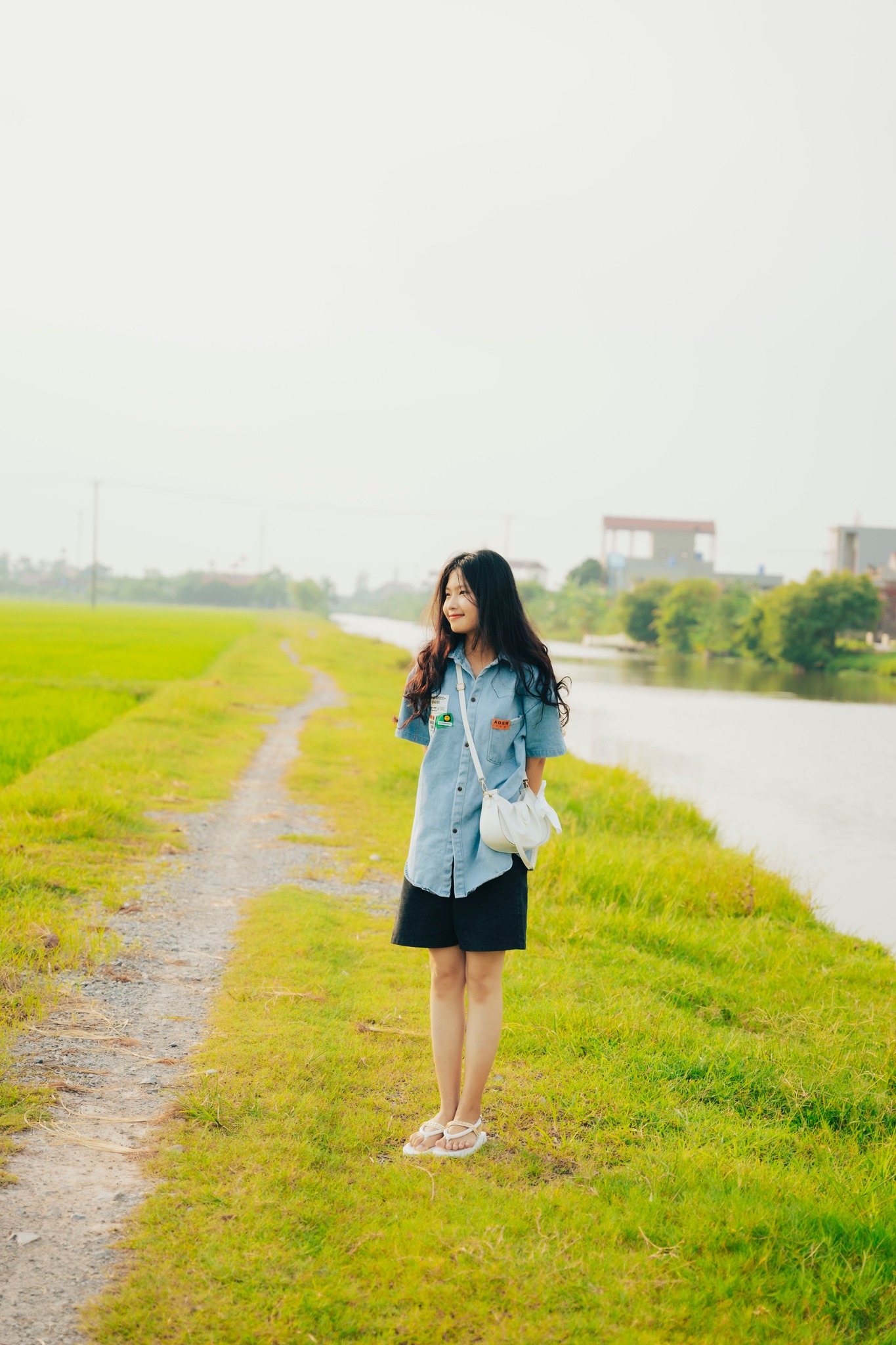 Cánh đồng lúa image 3