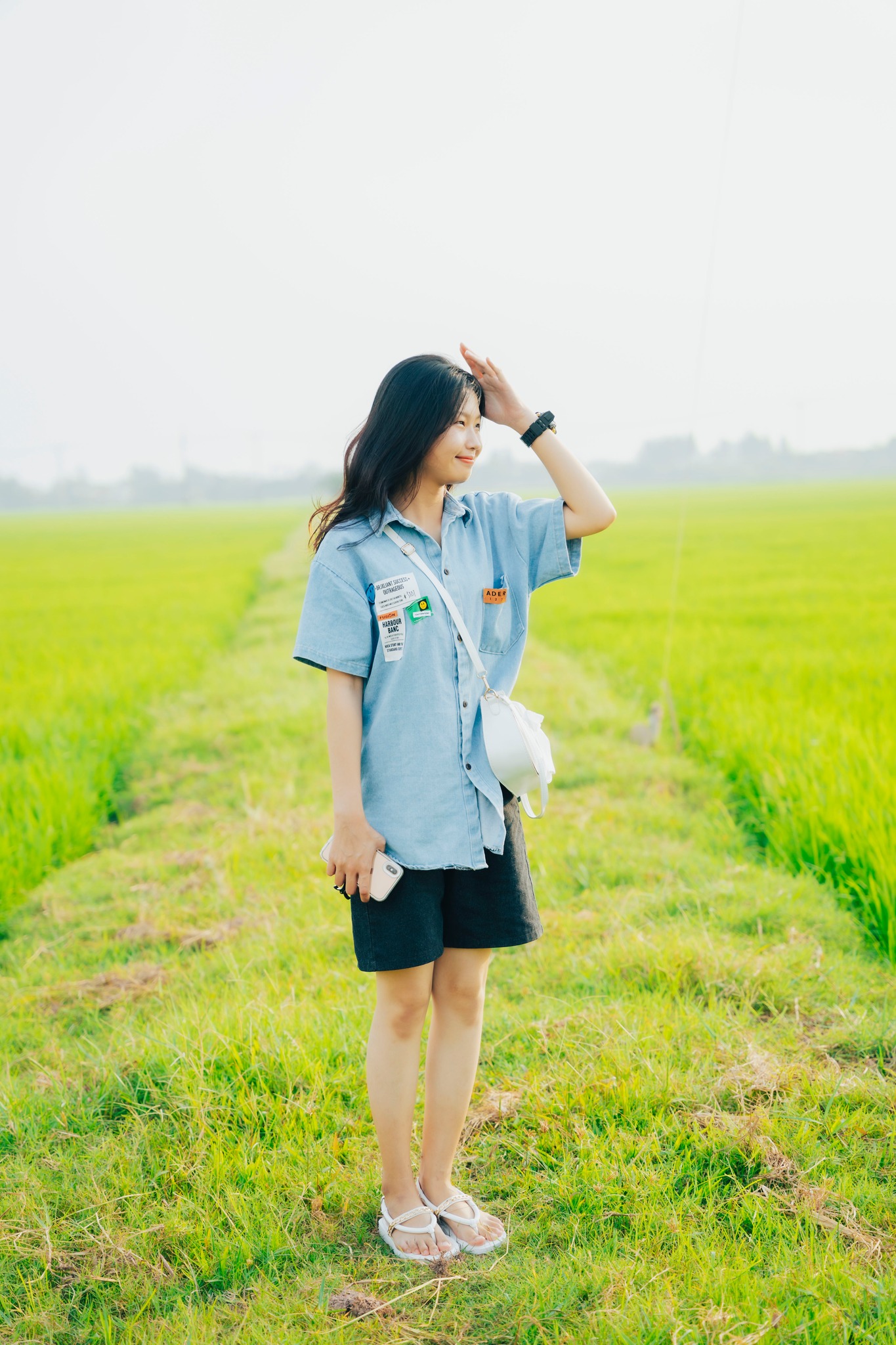 Cánh đồng lúa image 6