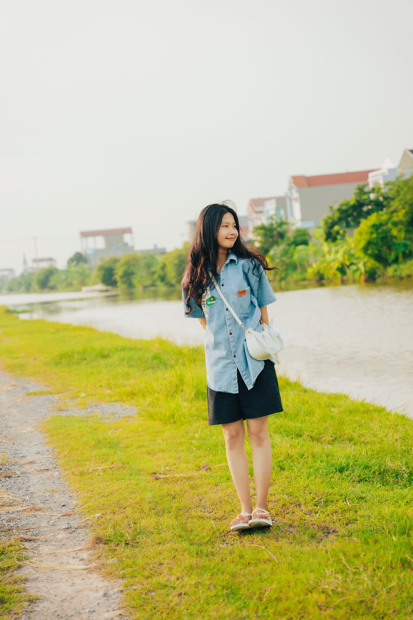 Cánh đồng lúa image 8