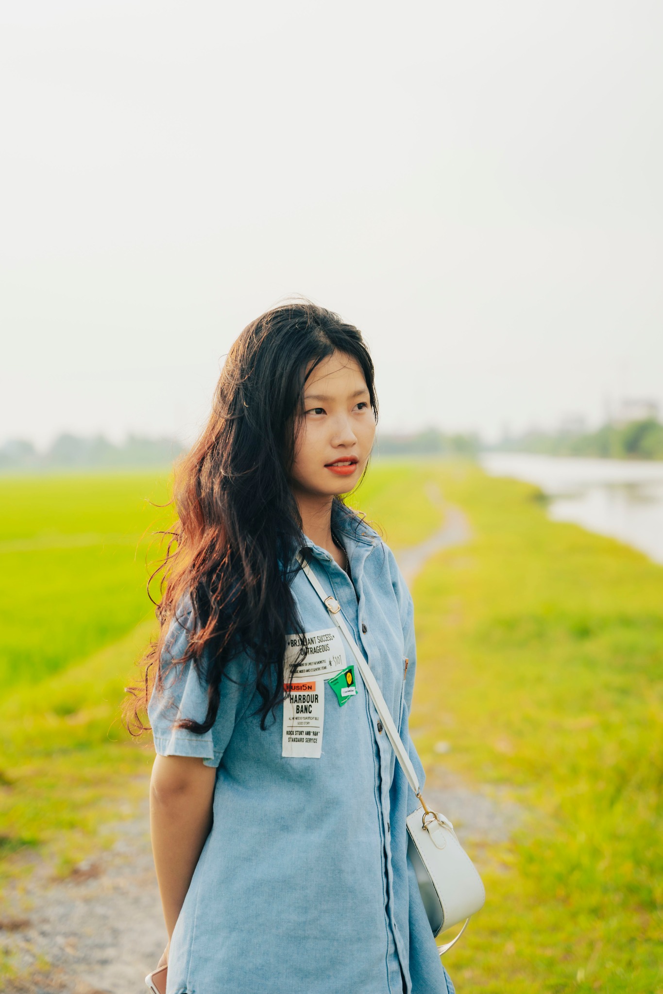 Cánh đồng lúa image 9