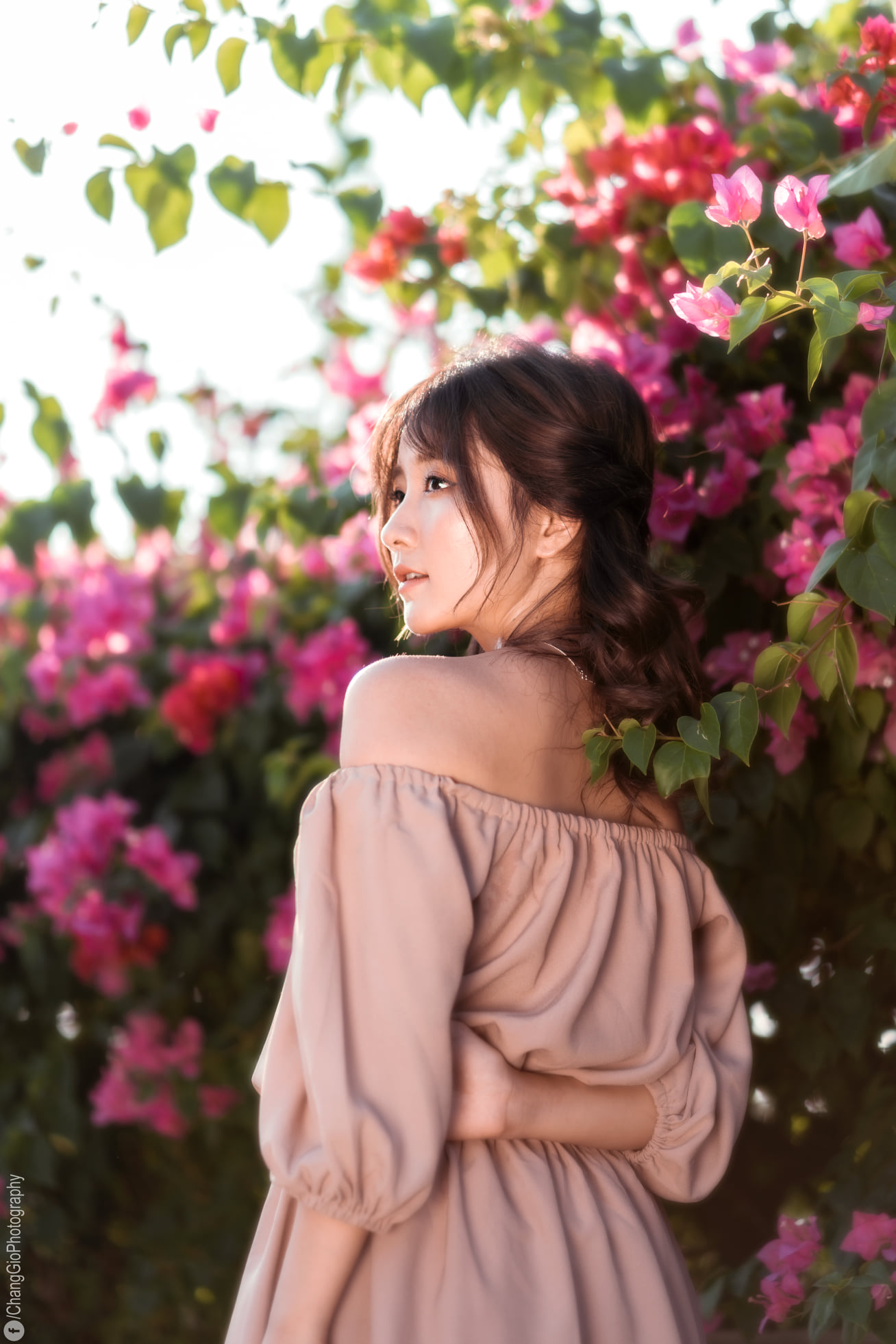 Buổi chiều chụp ảnh ngoài trời image 13