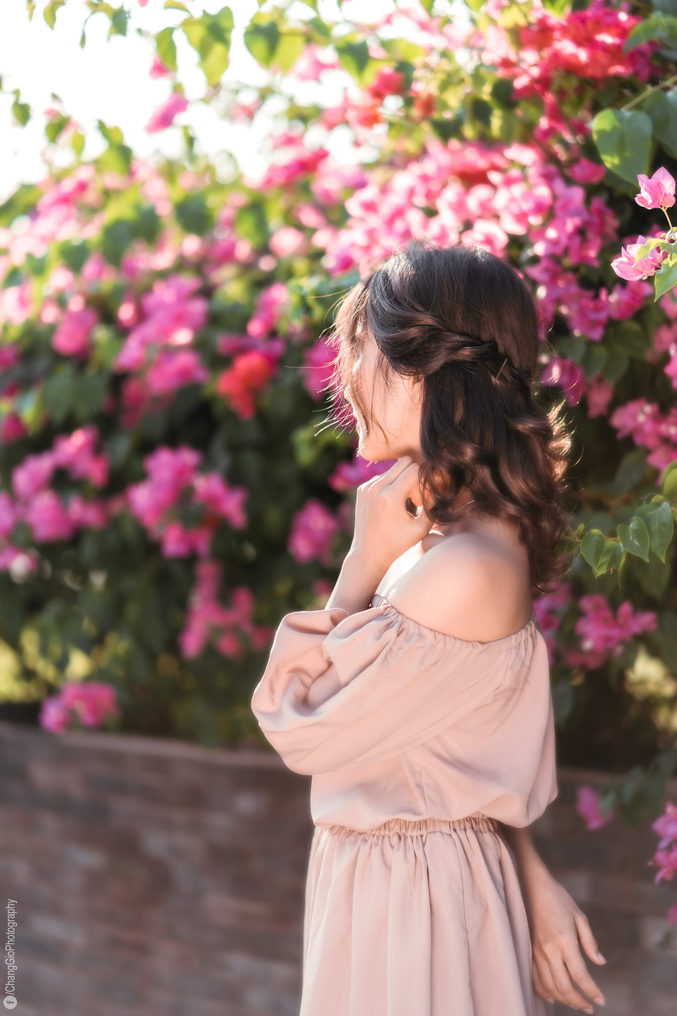 Buổi chiều chụp ảnh ngoài trời image 16