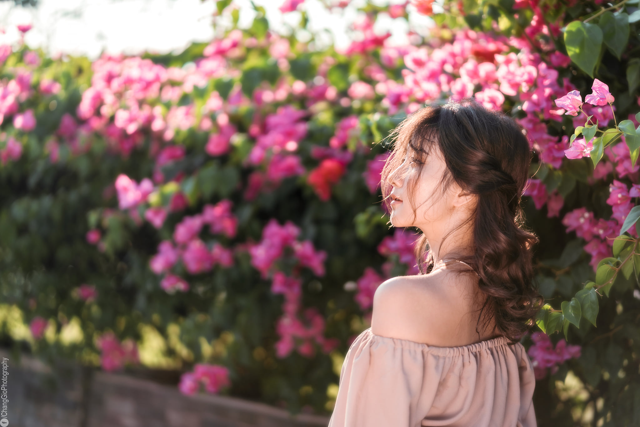 Buổi chiều chụp ảnh ngoài trời image 17