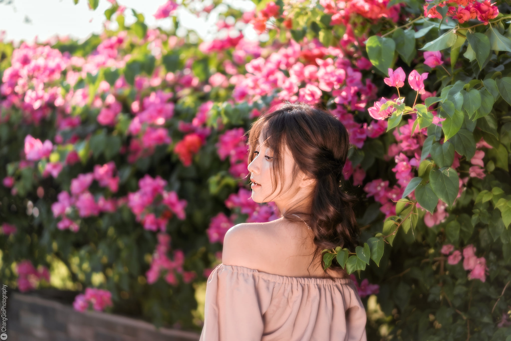 Buổi chiều chụp ảnh ngoài trời image 18