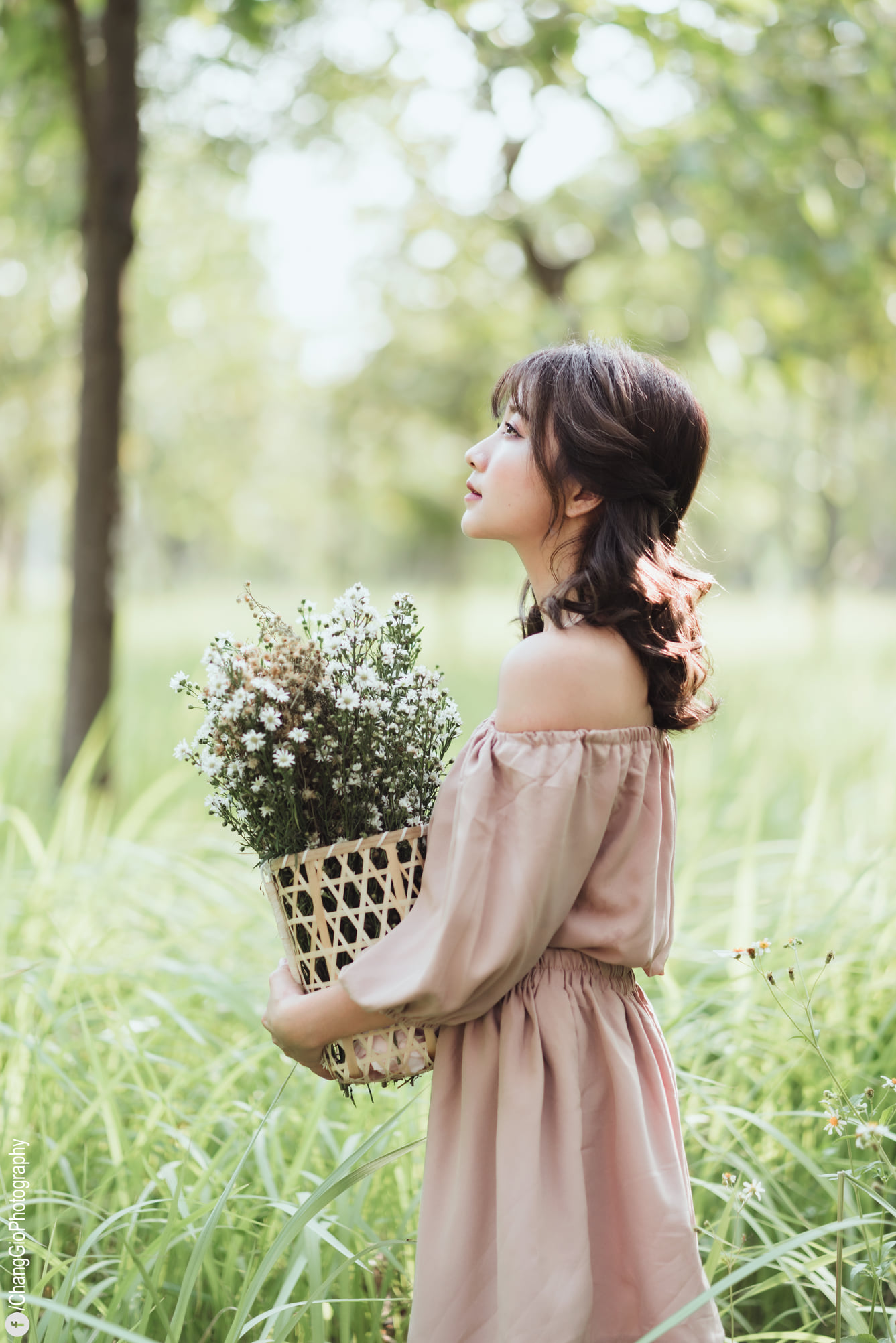 Buổi chiều chụp ảnh ngoài trời image 2