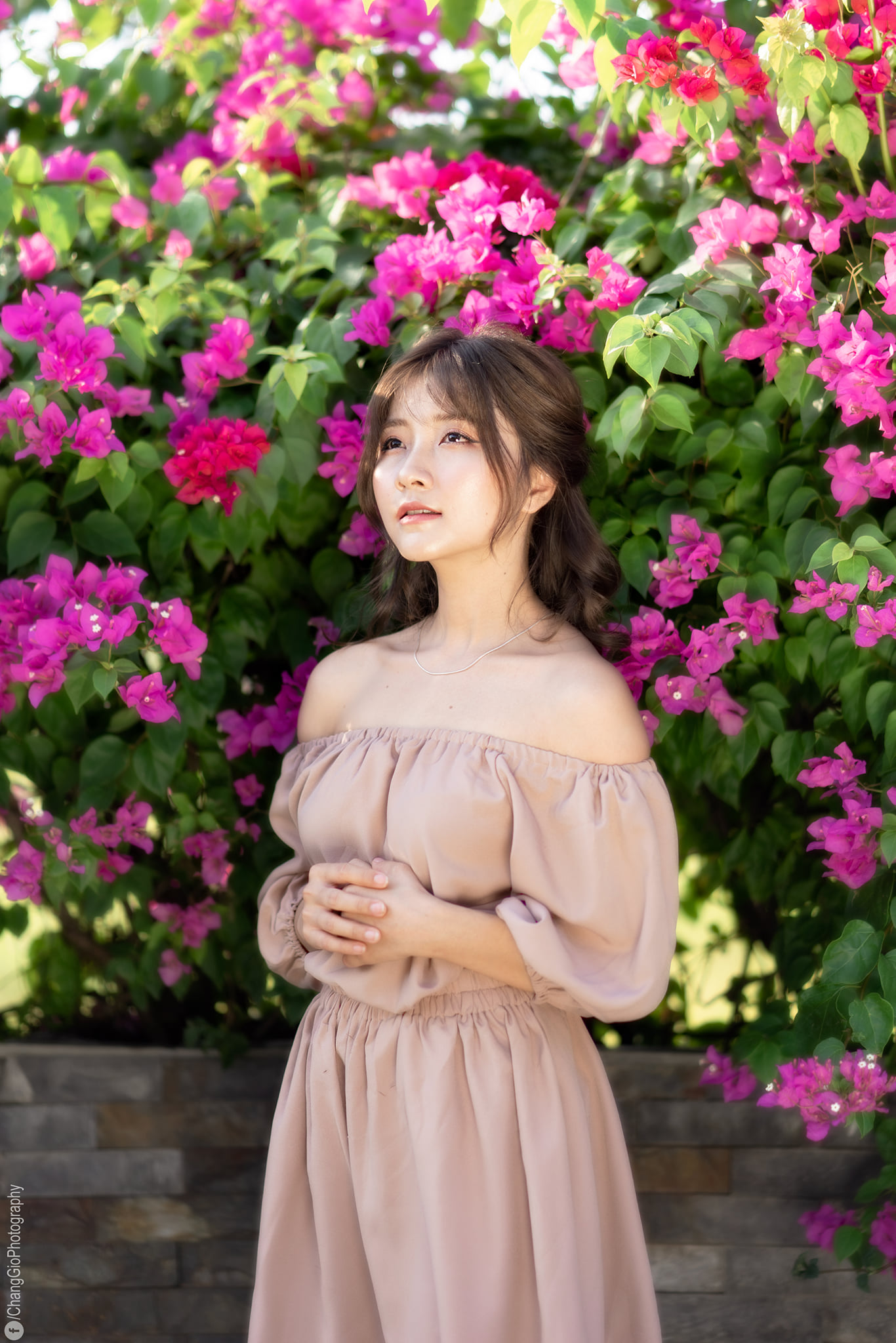 Buổi chiều chụp ảnh ngoài trời image 19