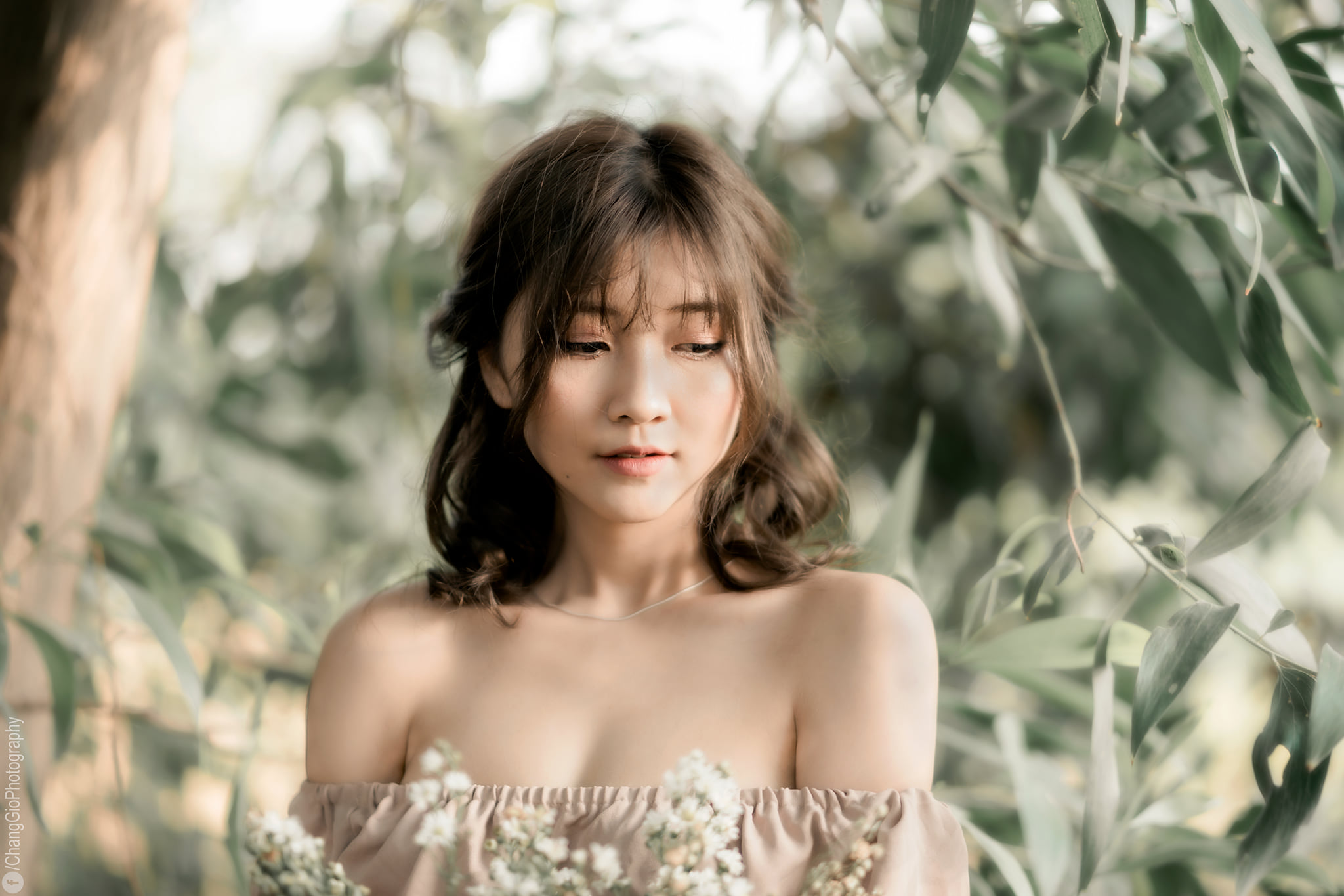 Buổi chiều chụp ảnh ngoài trời image 31