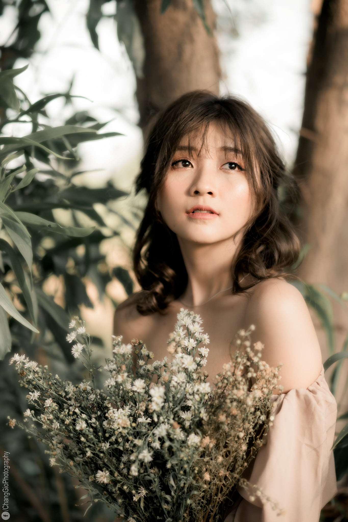 Buổi chiều chụp ảnh ngoài trời image 32