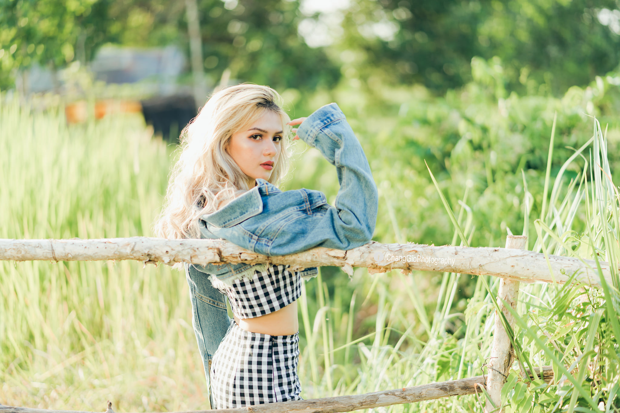 Công viên gò vấp image 3