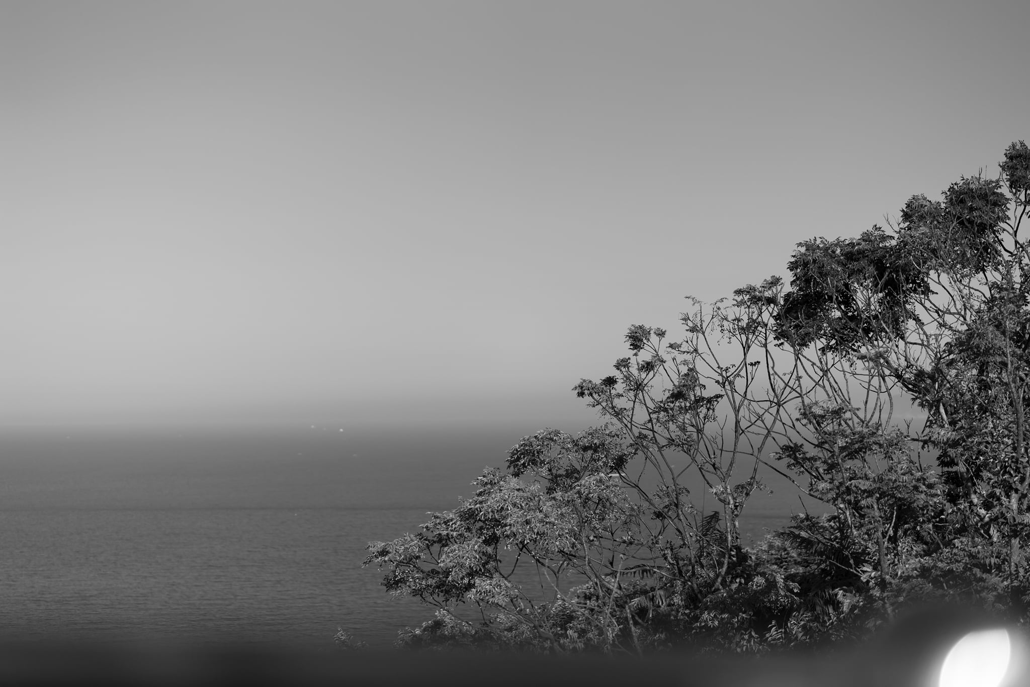 Đà Nẵng image 13