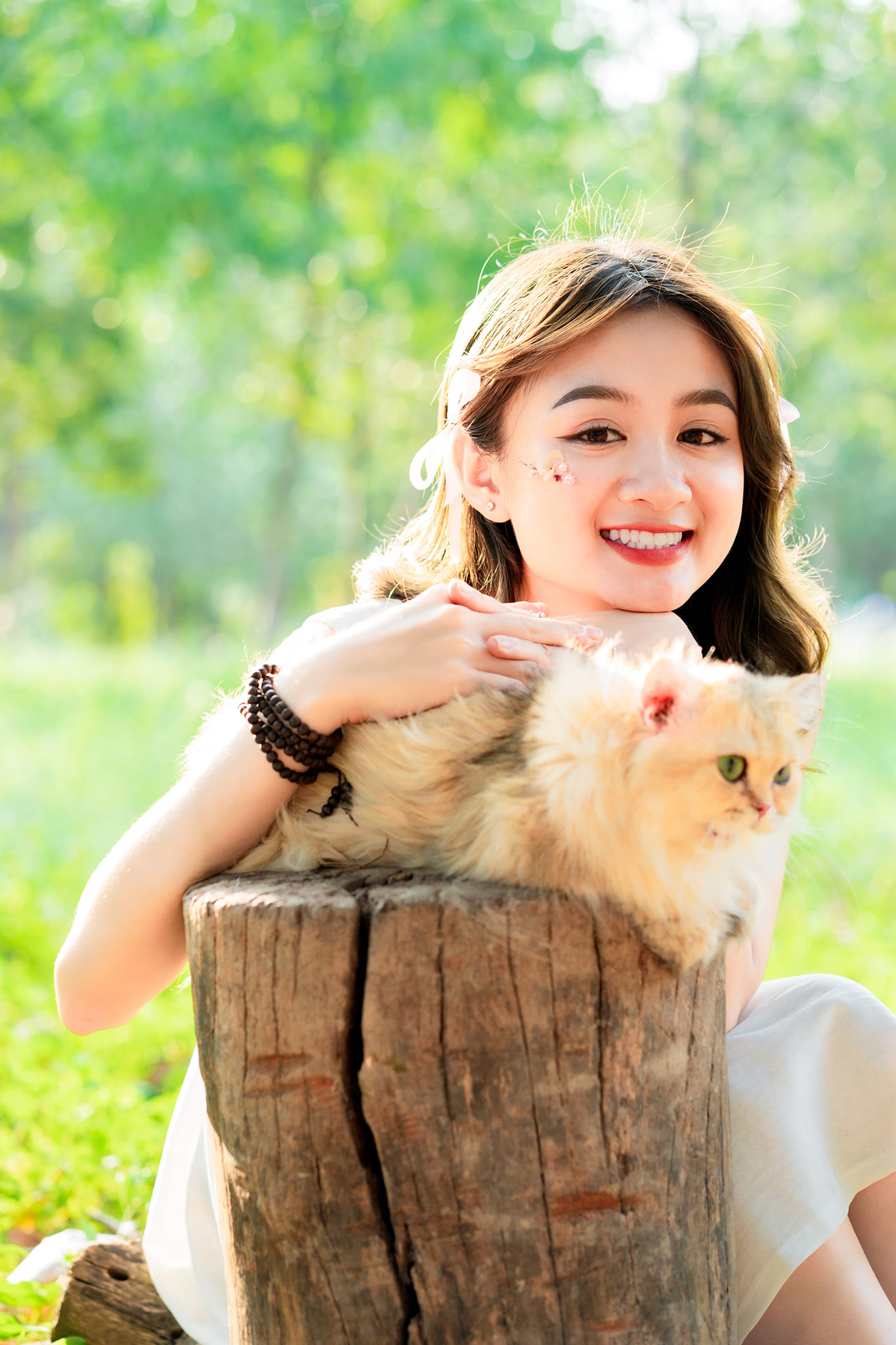 Picnic công viên image 13