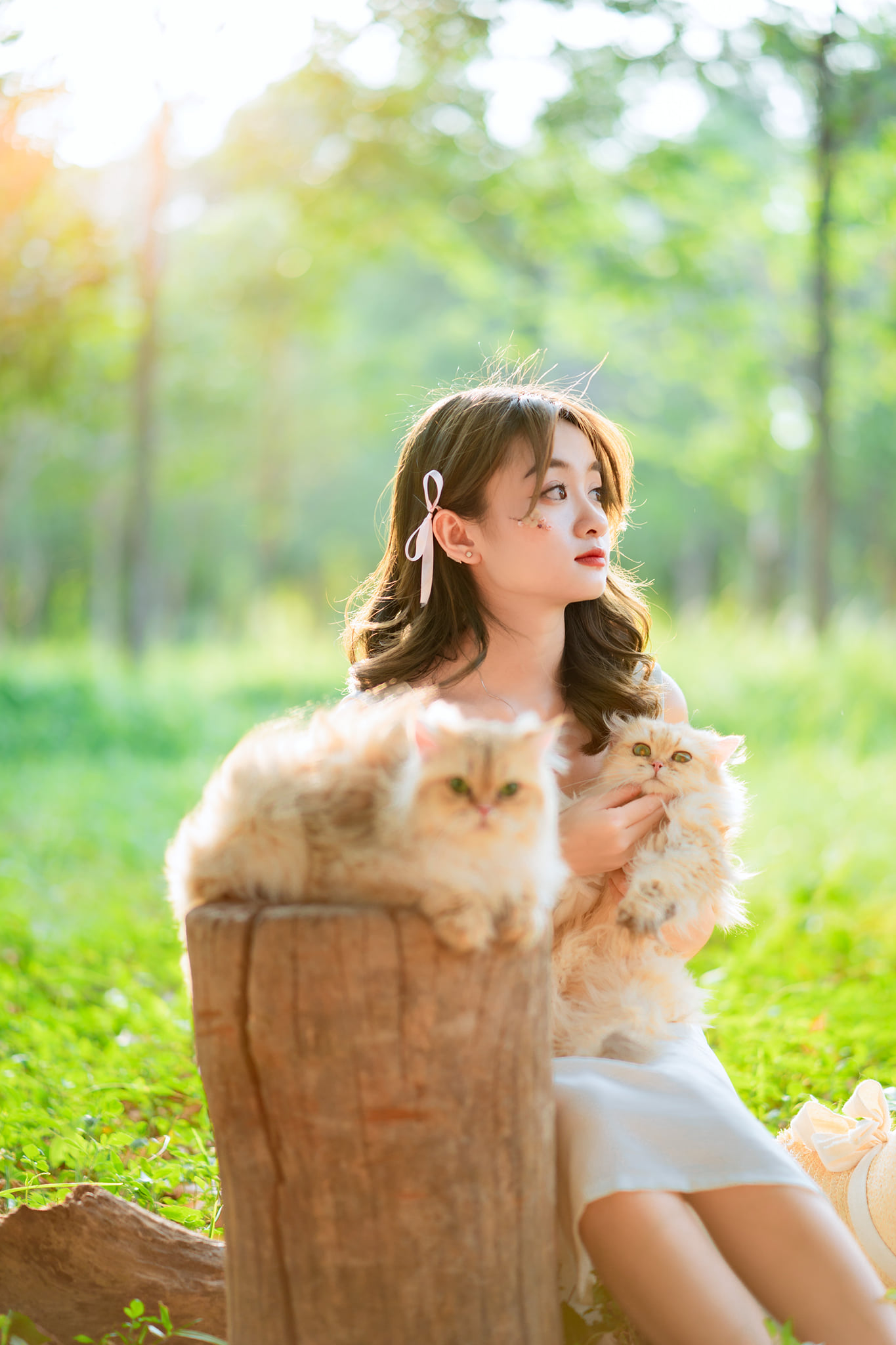 Picnic công viên image 14