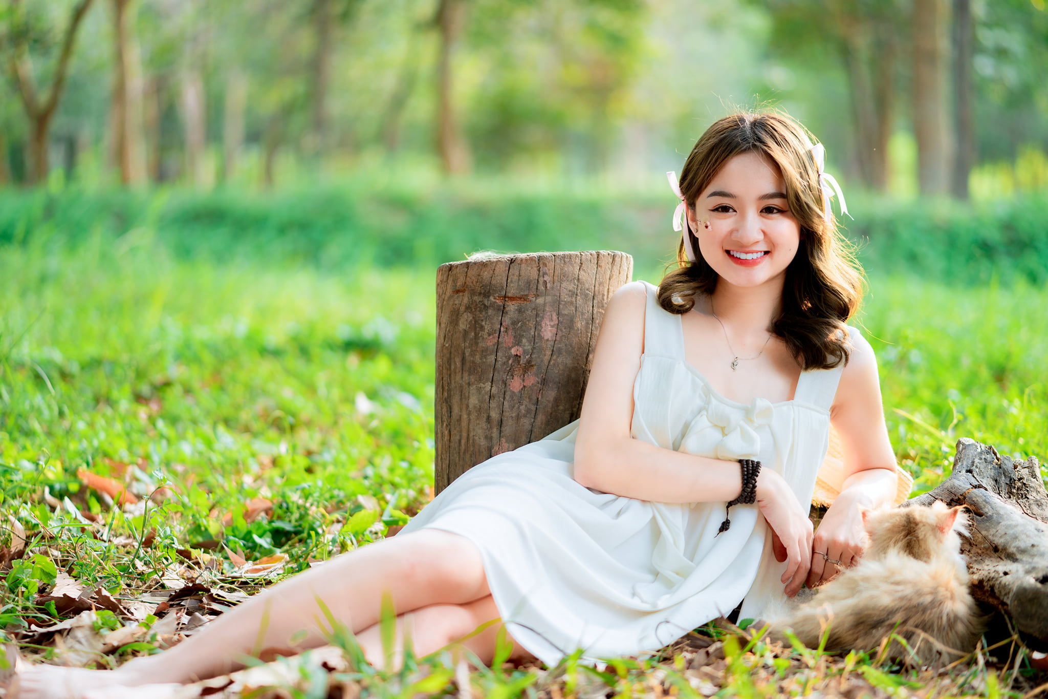 Picnic công viên image 20