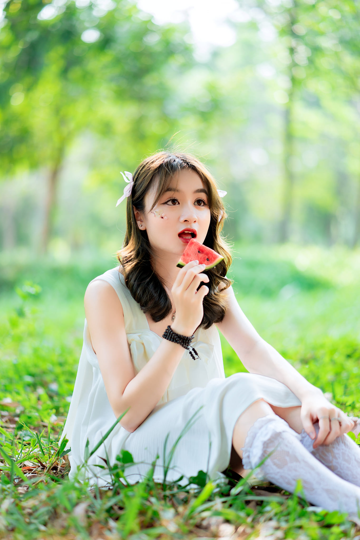 Picnic công viên image 3