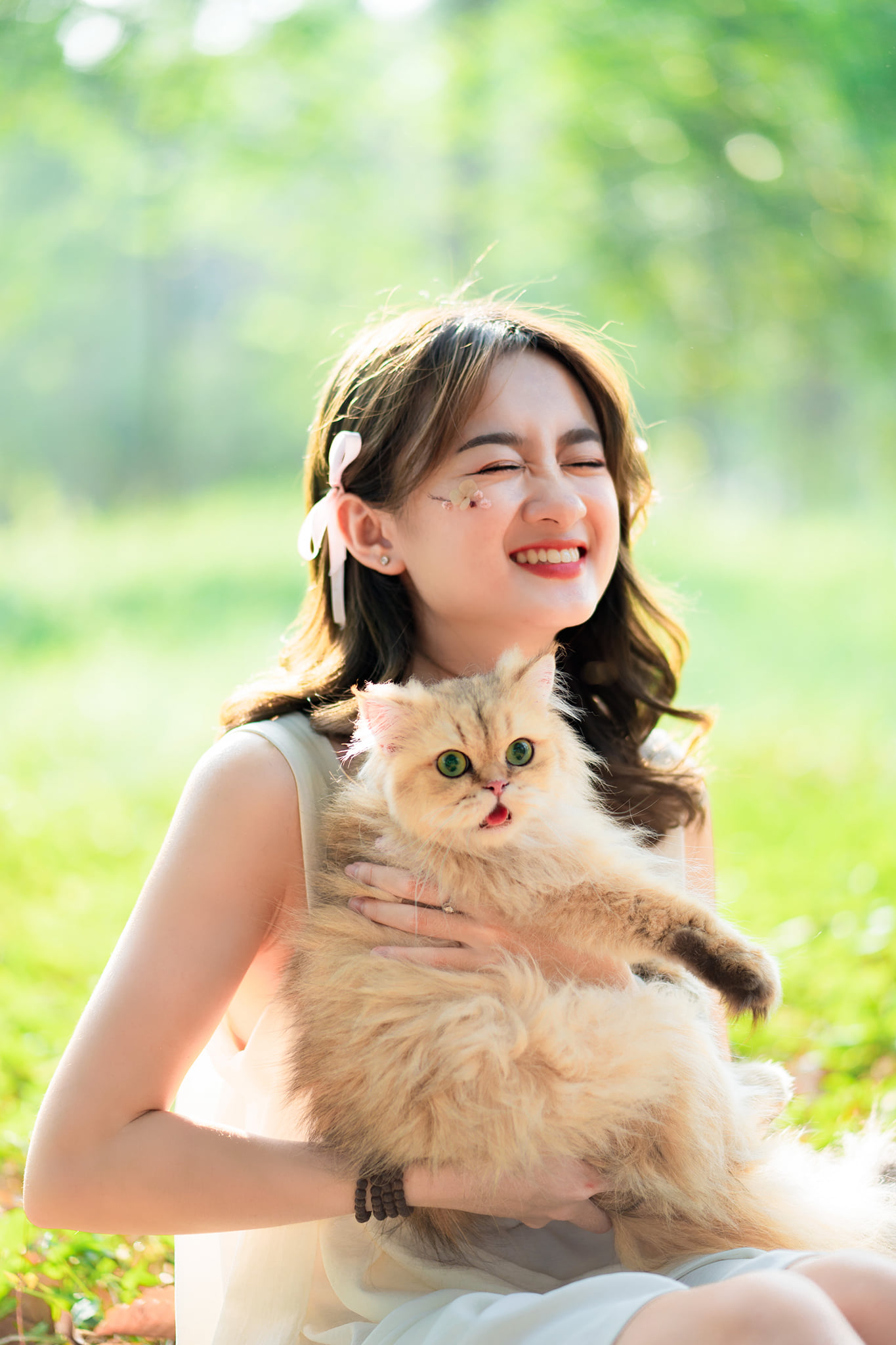 Picnic công viên image 5