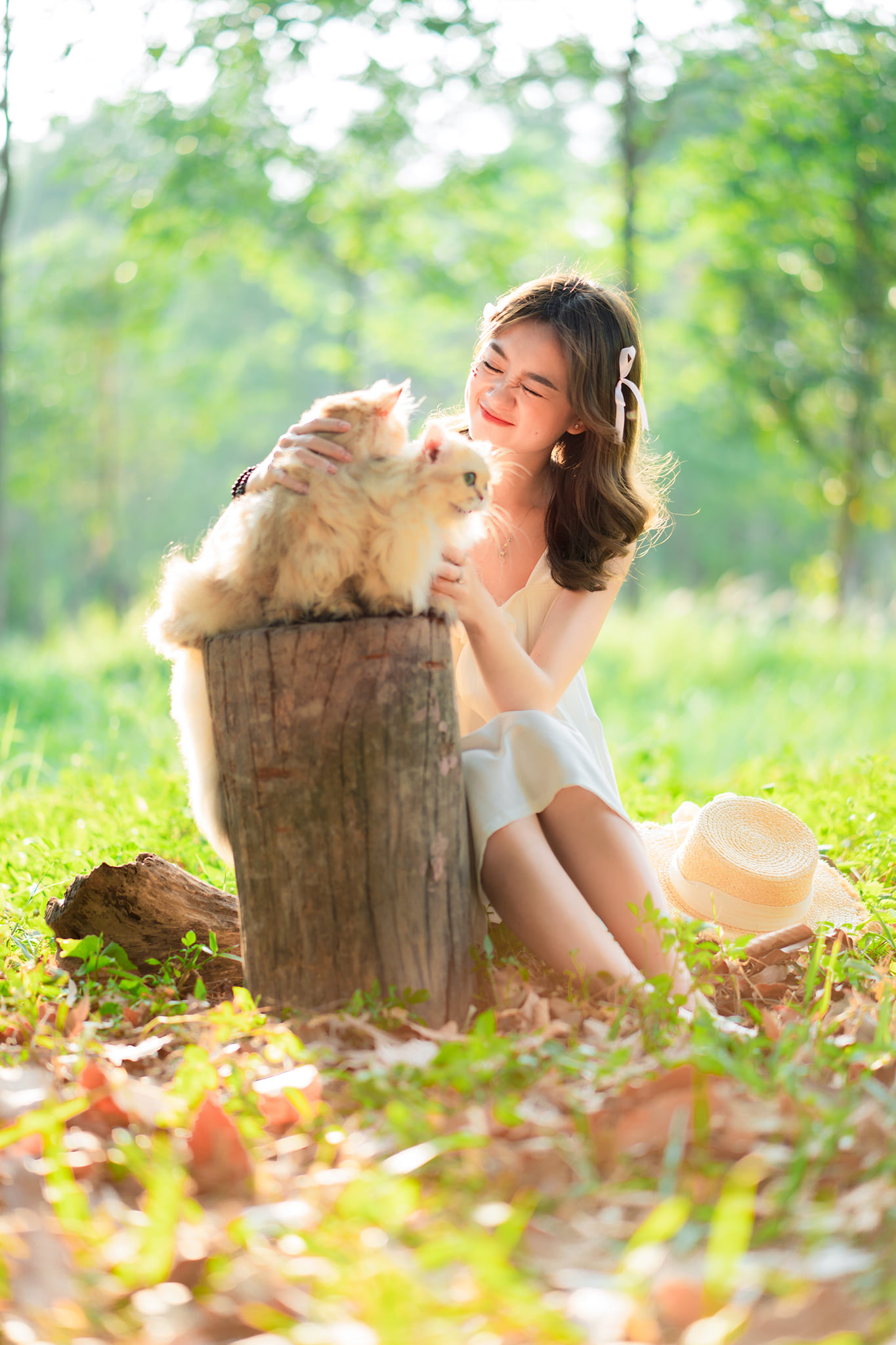 Picnic công viên image 6