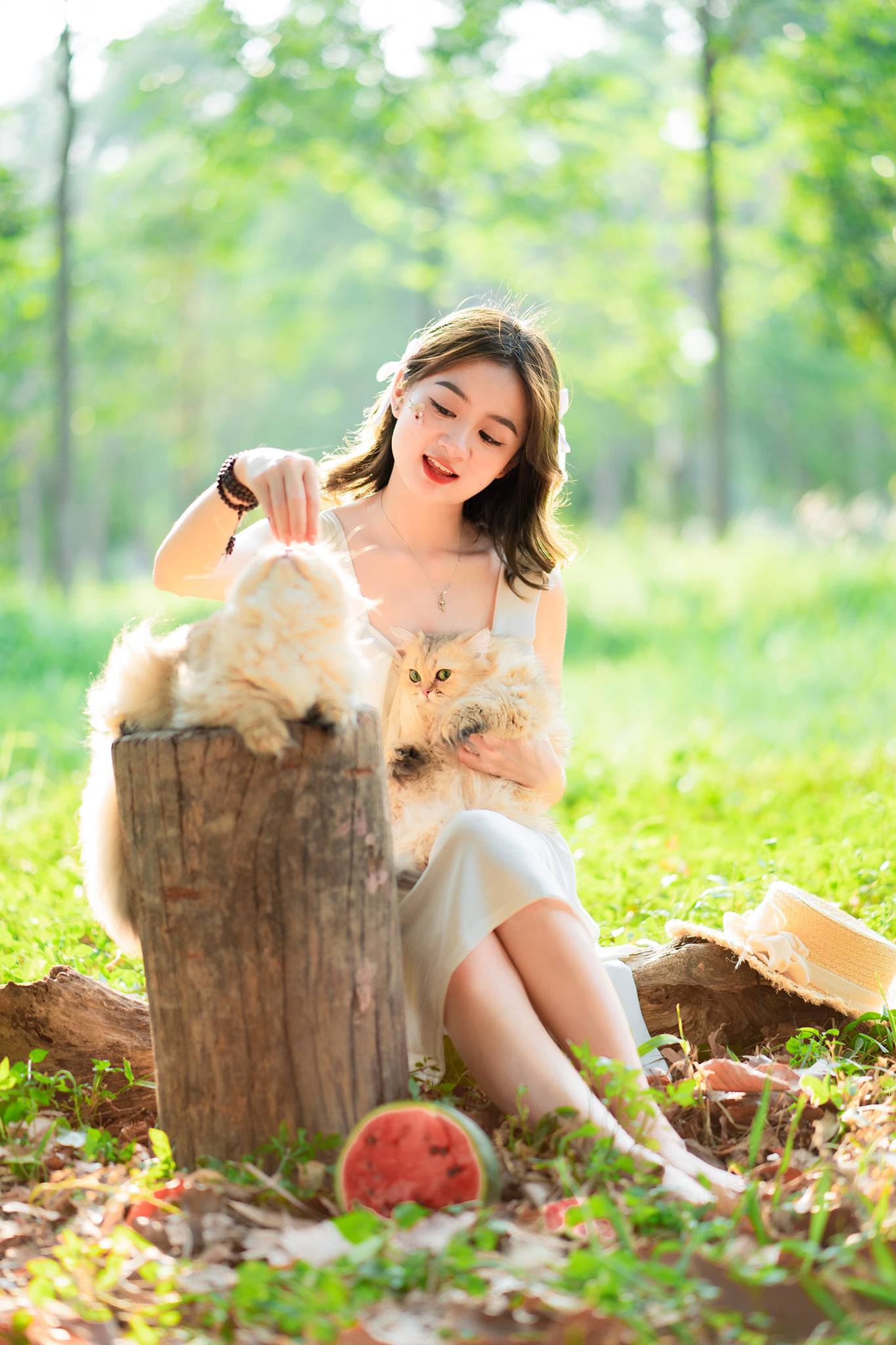 Picnic công viên image 7