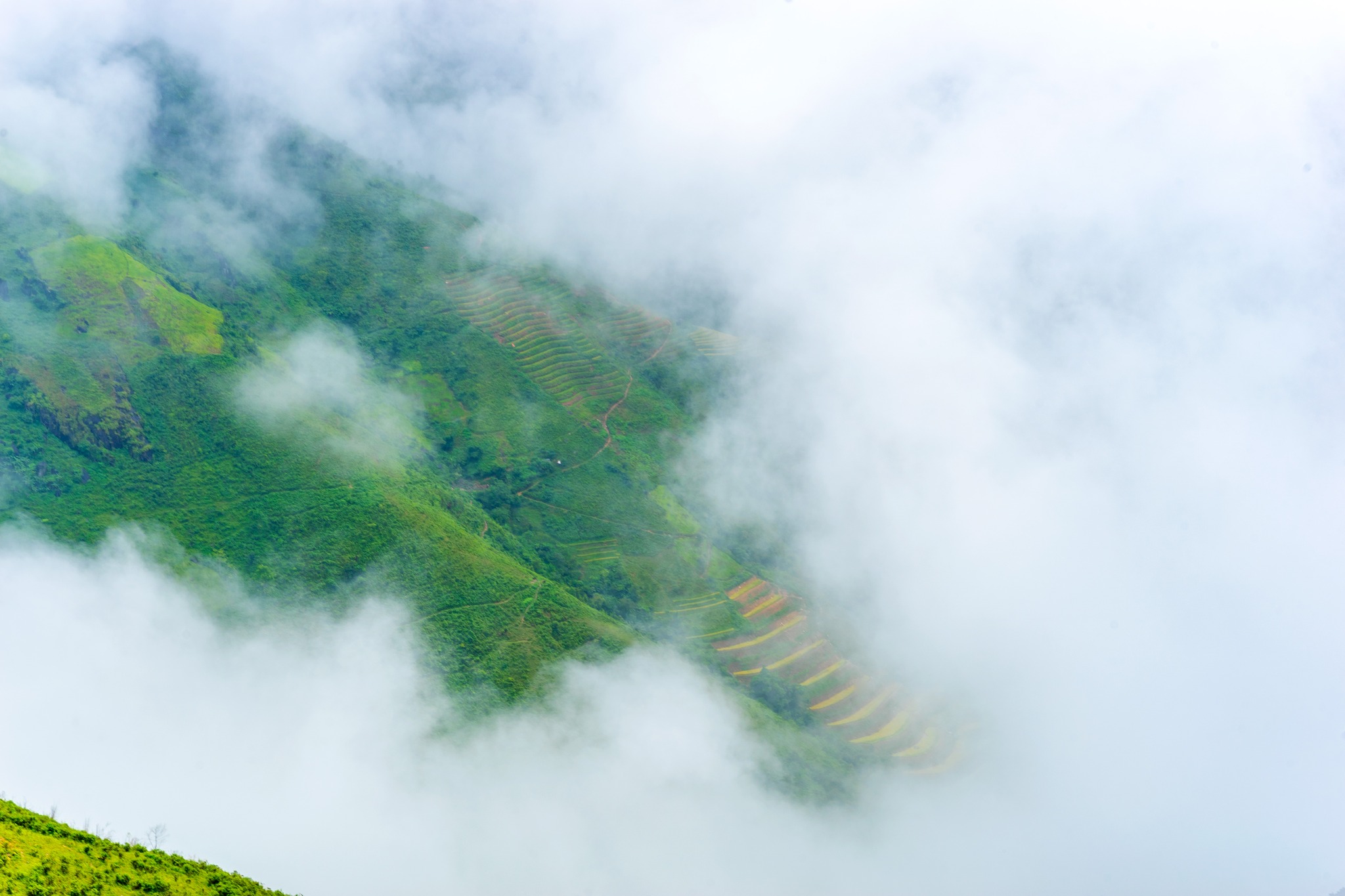 Tà Xùa - Sơn La image 4