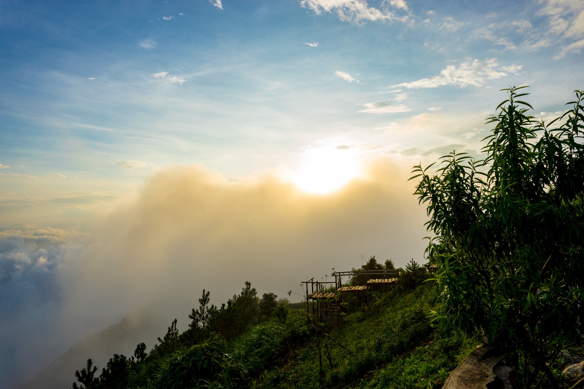 Tà Xùa - Sơn La image 8