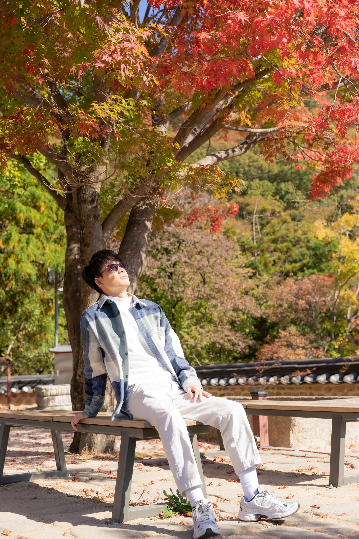 Thu Hàn Quốc image 1