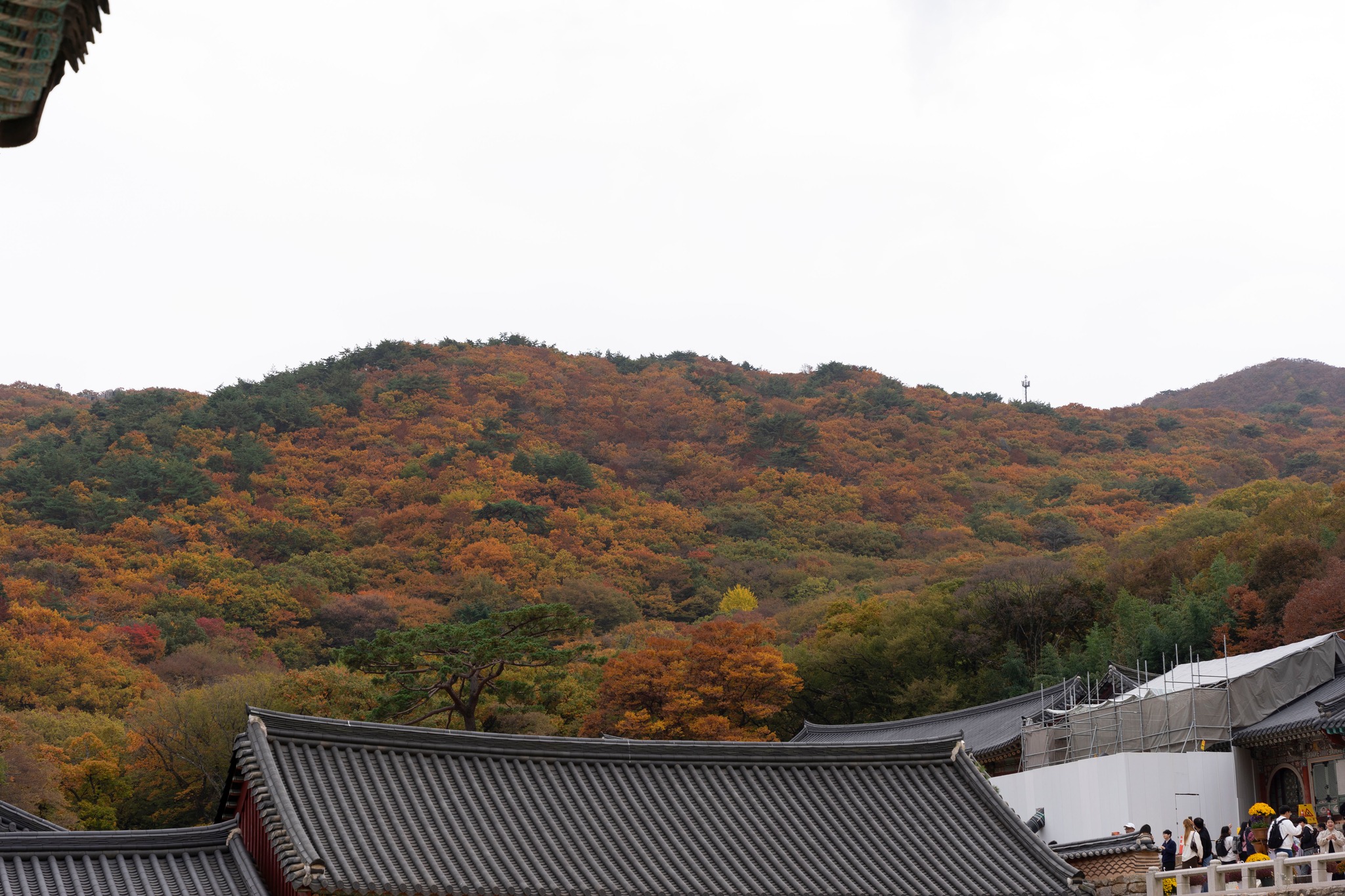 Thu Hàn Quốc image 9