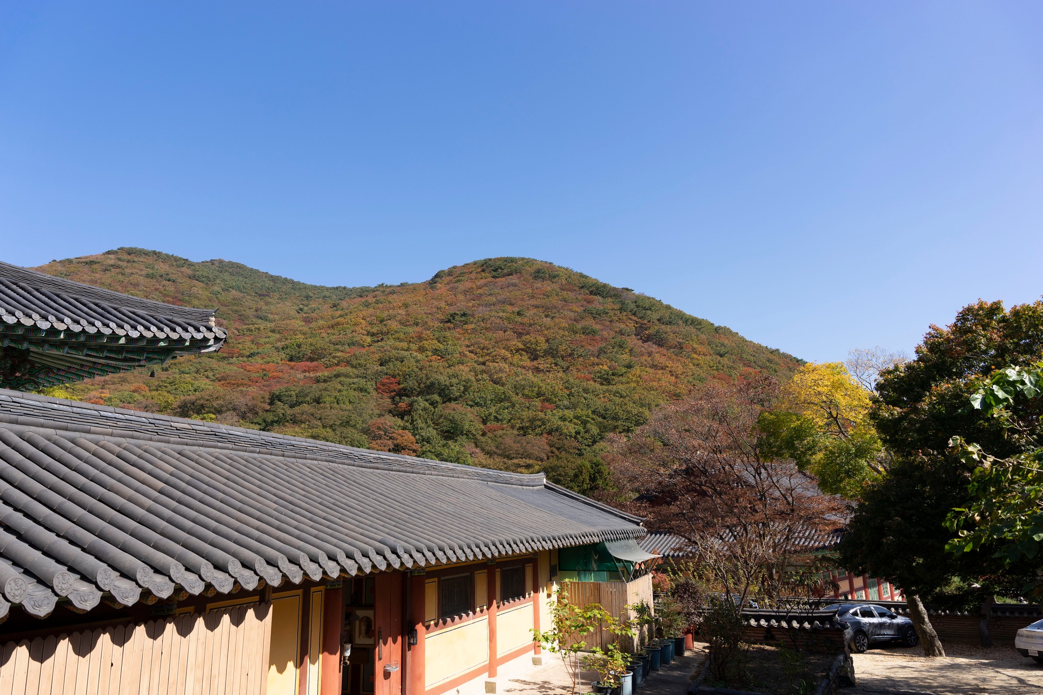 Thu Hàn Quốc image 13