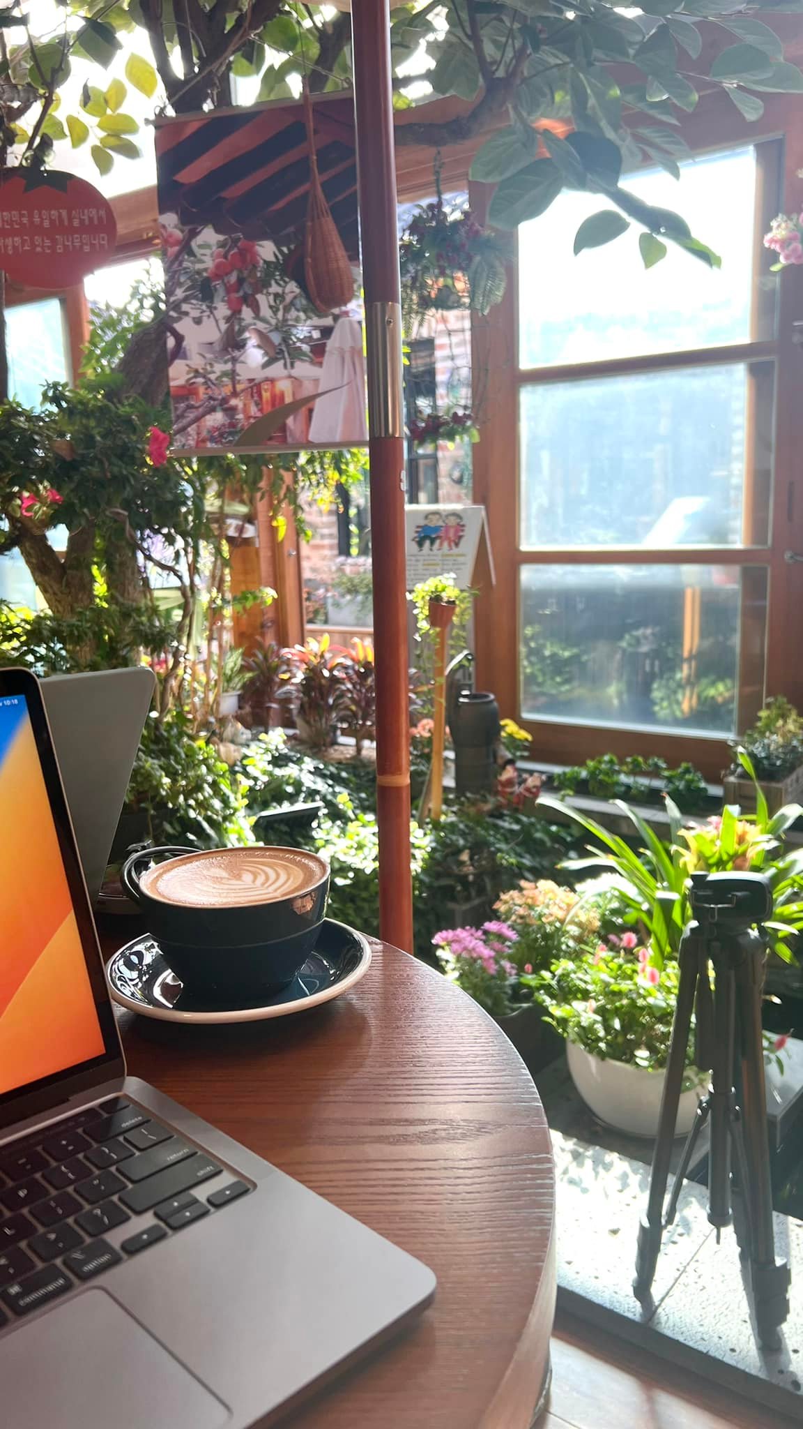 Thu Hàn Quốc image 16