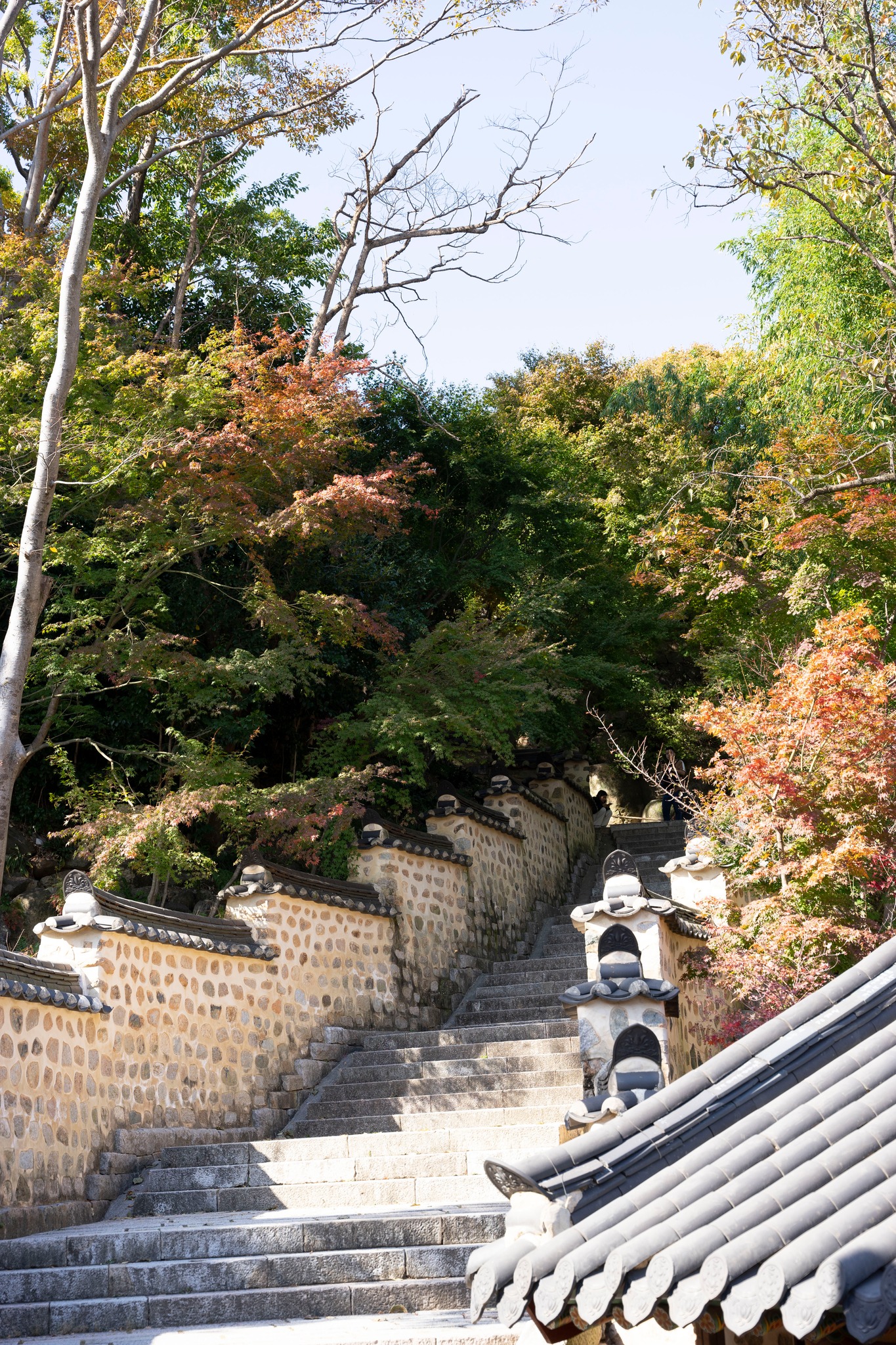 Thu Hàn Quốc image 3