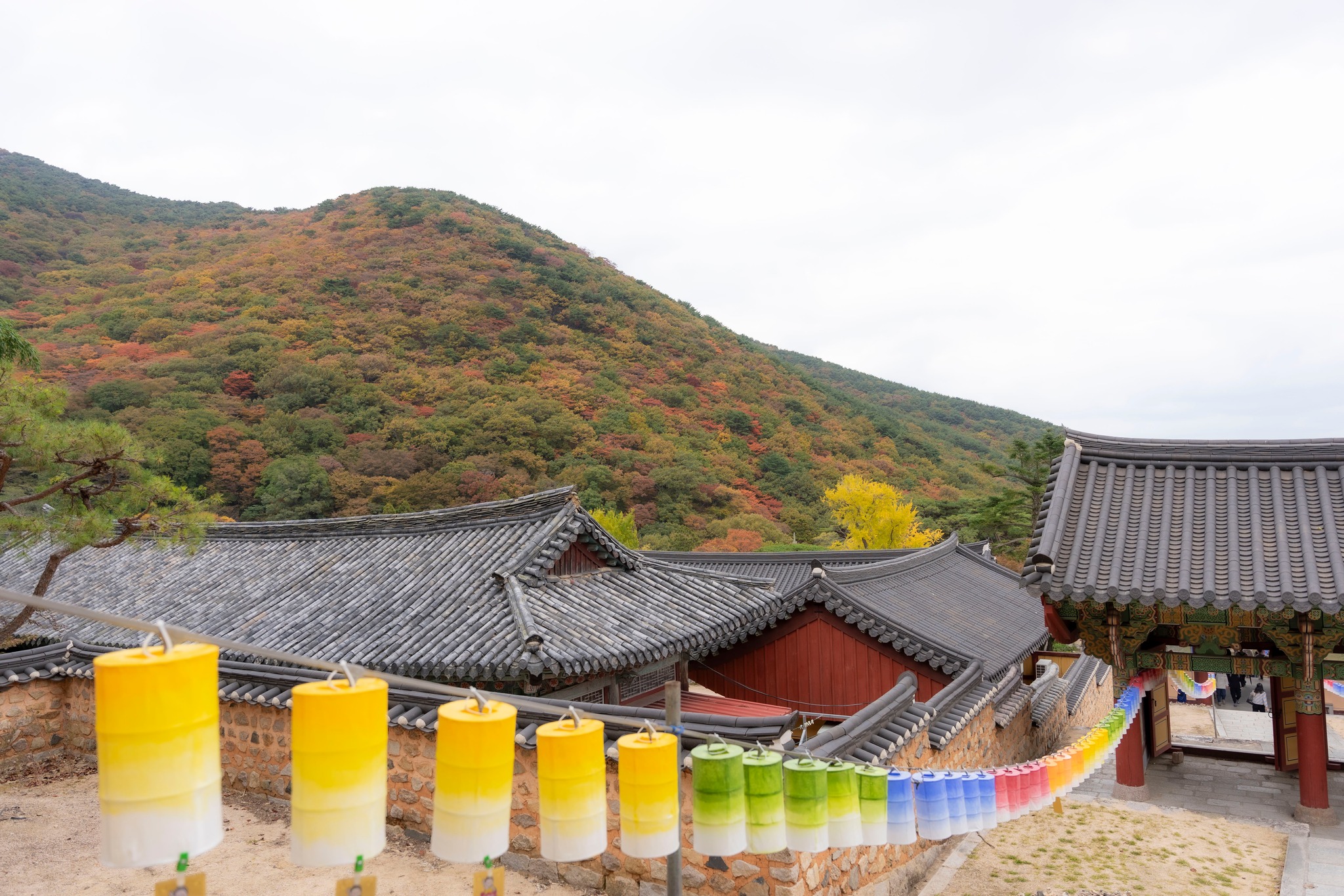 Thu Hàn Quốc image 5