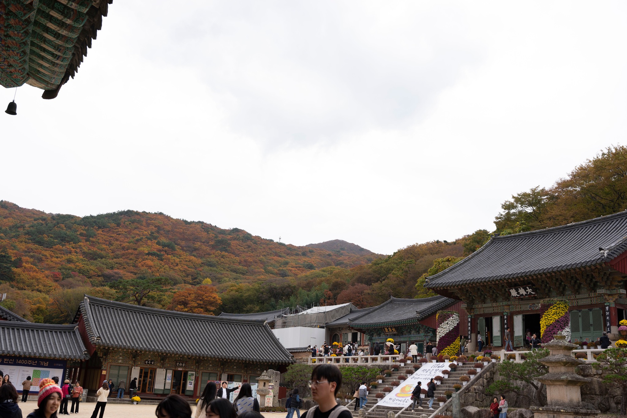 Thu Hàn Quốc image 7