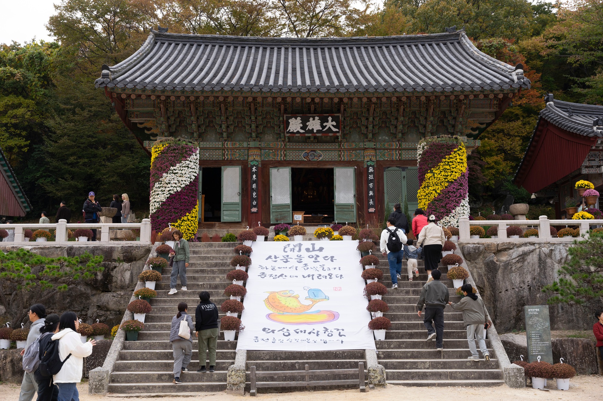 Thu Hàn Quốc image 8